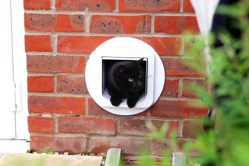 Б/У SureFlap &mdash; відкидна стулка для кішок з мікрочіпом Sure Petcare, біла, сканує посвідчення особистості тварини при вході фото