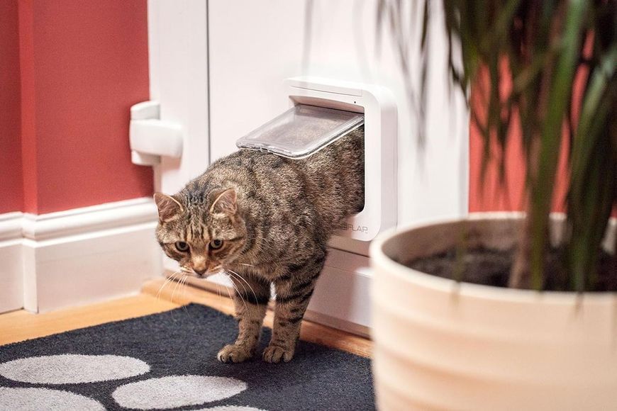 Б/У SureFlap &mdash; відкидна стулка для кішок з мікрочіпом Sure Petcare, біла, сканує посвідчення особистості тварини при вході фото